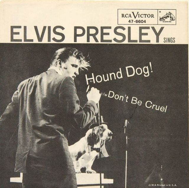 hound-dog-elvis